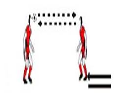 Descripci&oacute;n: F:\2015\DeporVida\2015\numero25\Para OJS HTML\imagenes\Flavio 1.JPG